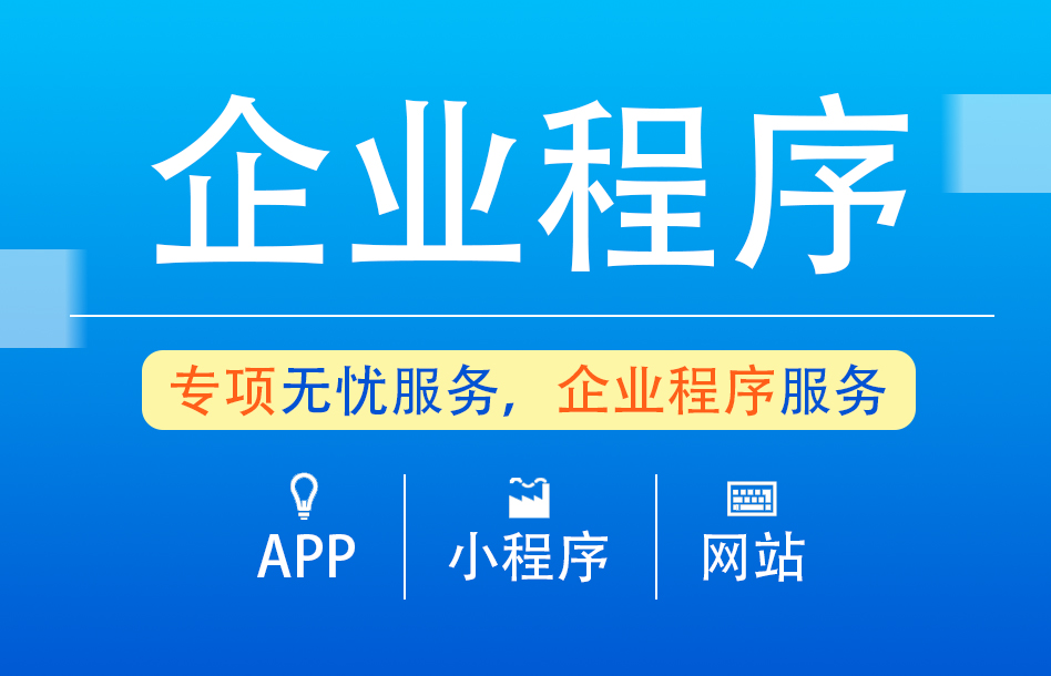 企业程序咨询